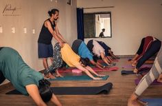 Yoga Retreat in India